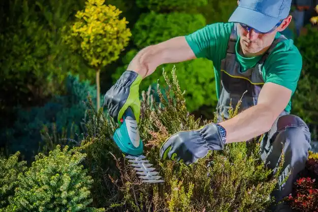 landscaping services Grand Rapids